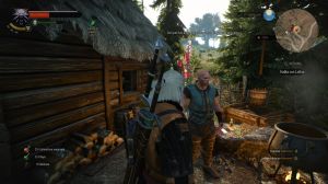 thewitcher3_5