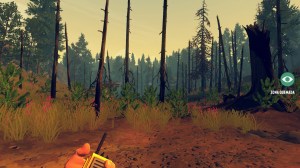 firewatch4